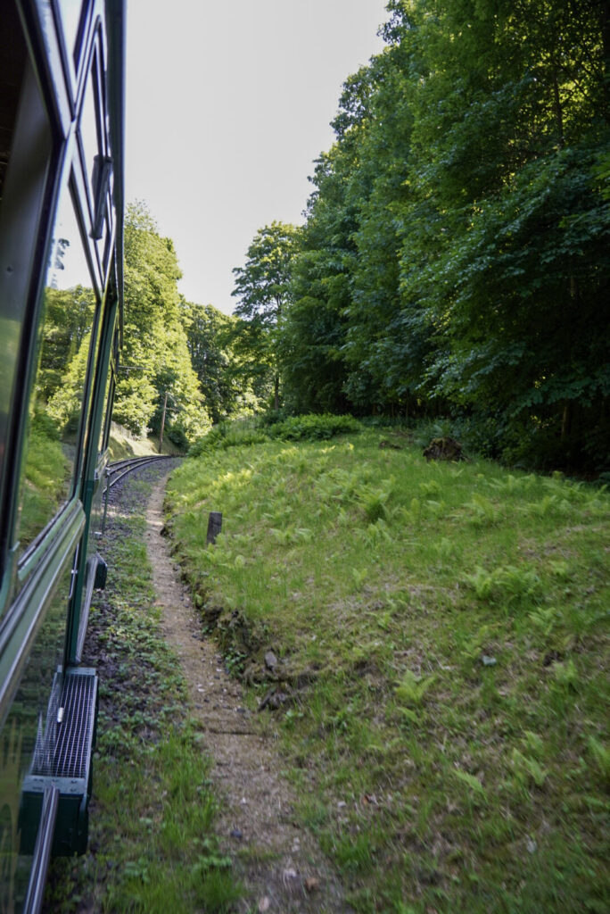 Bootsfahrt und Besuch des Drachenfelsens