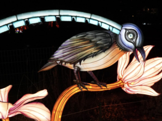 China Lights im K&ouml;lner Zoo