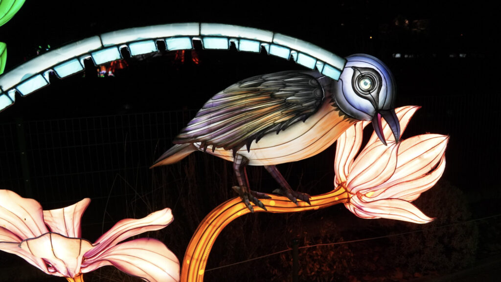 China Lights im K&ouml;lner Zoo