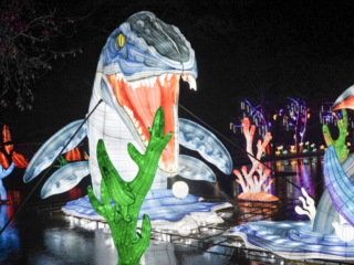 China Lights im K&ouml;lner Zoo