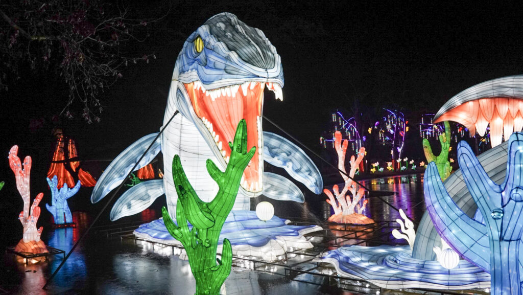 China Lights im K&ouml;lner Zoo