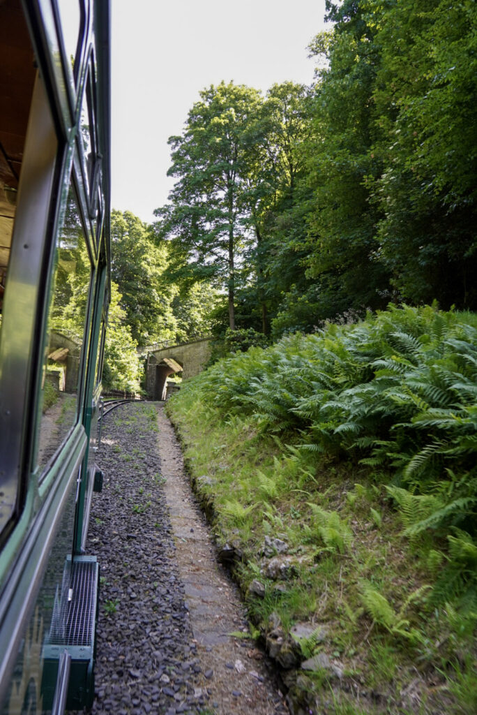 Bootsfahrt und Besuch des Drachenfelsens