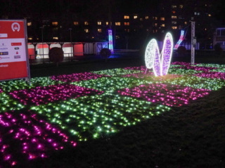 Garden of Lights Garden of Lights