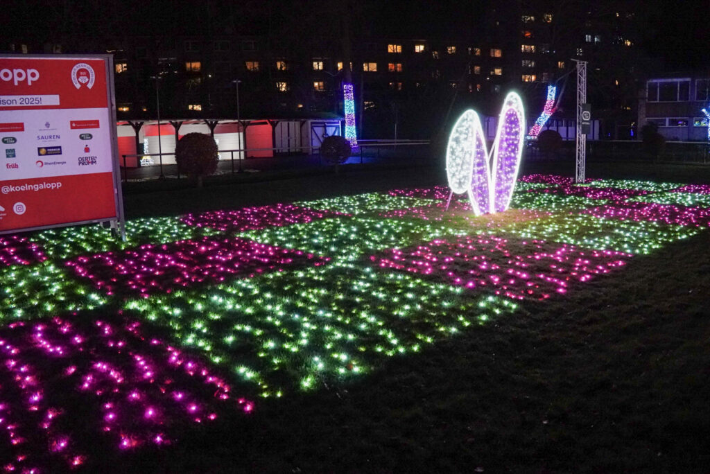 Garden of Lights