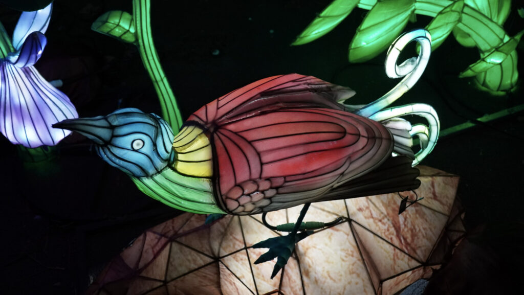 China Lights im K&ouml;lner Zoo