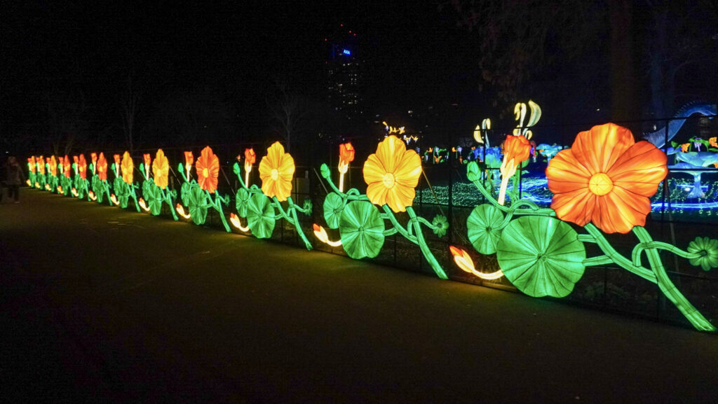 China Lights im K&ouml;lner Zoo