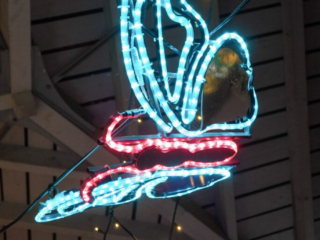 Garden of Lights Garden of Lights