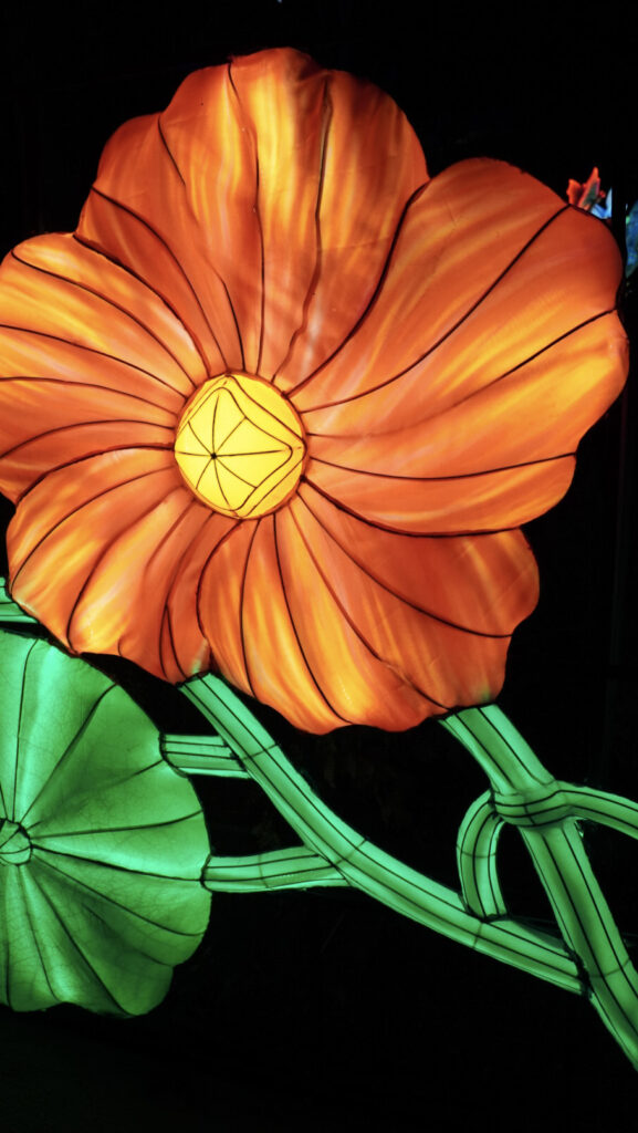 China Lights im K&ouml;lner Zoo