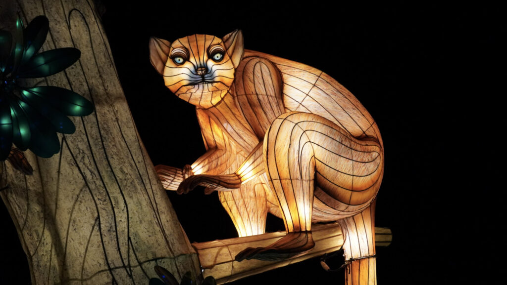 China Lights im K&ouml;lner Zoo