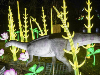 China Lights im K&ouml;lner Zoo