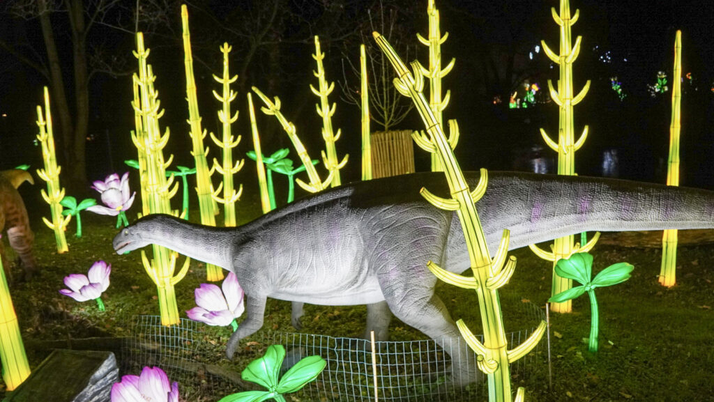 China Lights im K&ouml;lner Zoo