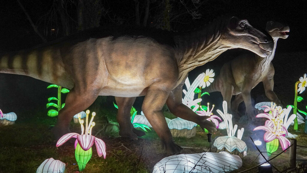 China Lights im K&ouml;lner Zoo