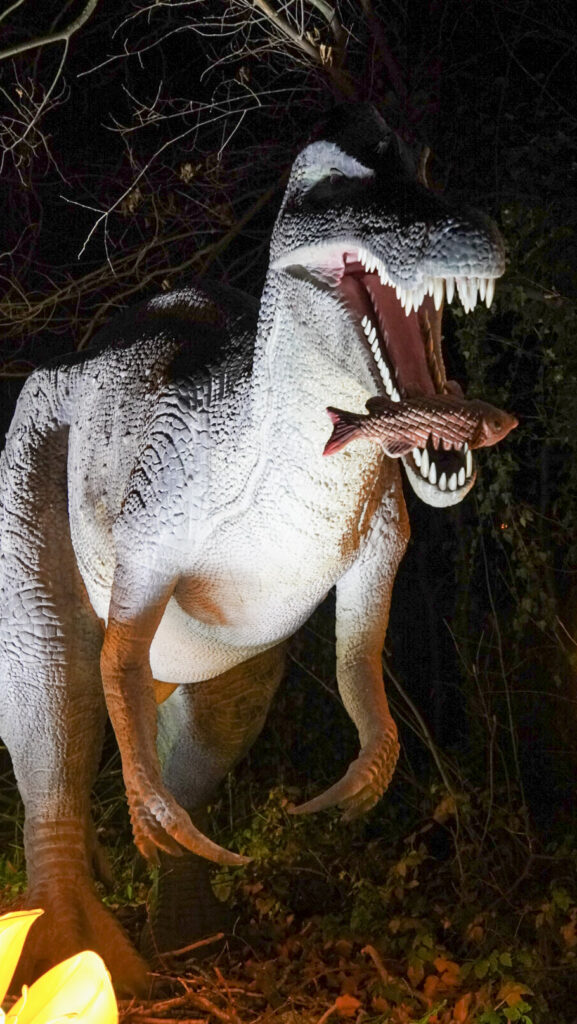 China Lights im K&ouml;lner Zoo