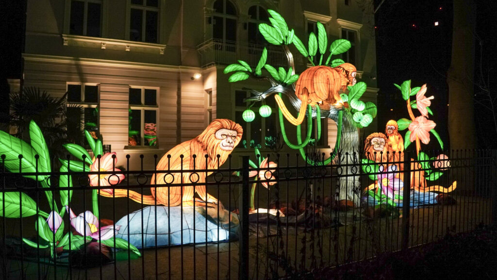 China Lights im K&ouml;lner Zoo