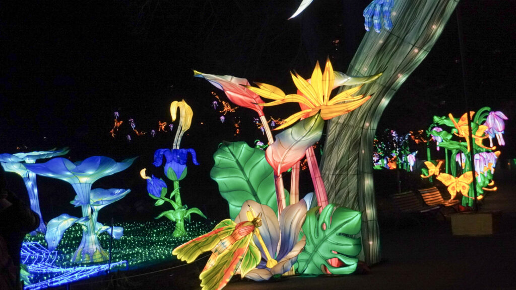 China Lights im K&ouml;lner Zoo