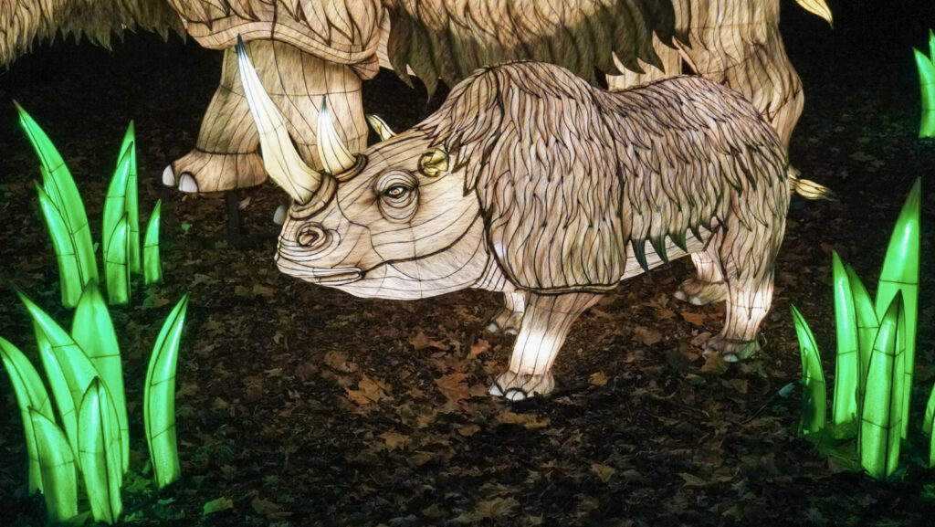 China Lights im K&ouml;lner Zoo