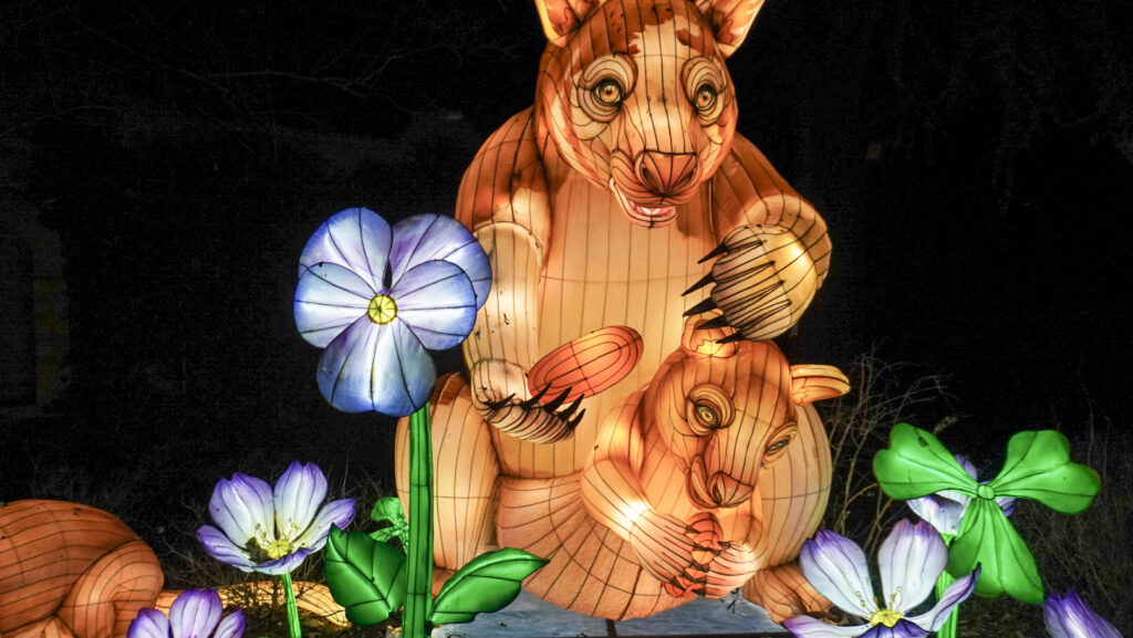 China Lights im K&ouml;lner Zoo