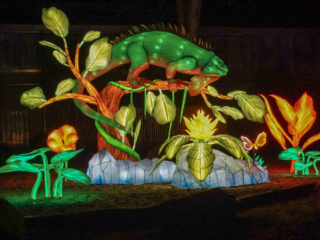 China Lights im K&ouml;lner Zoo