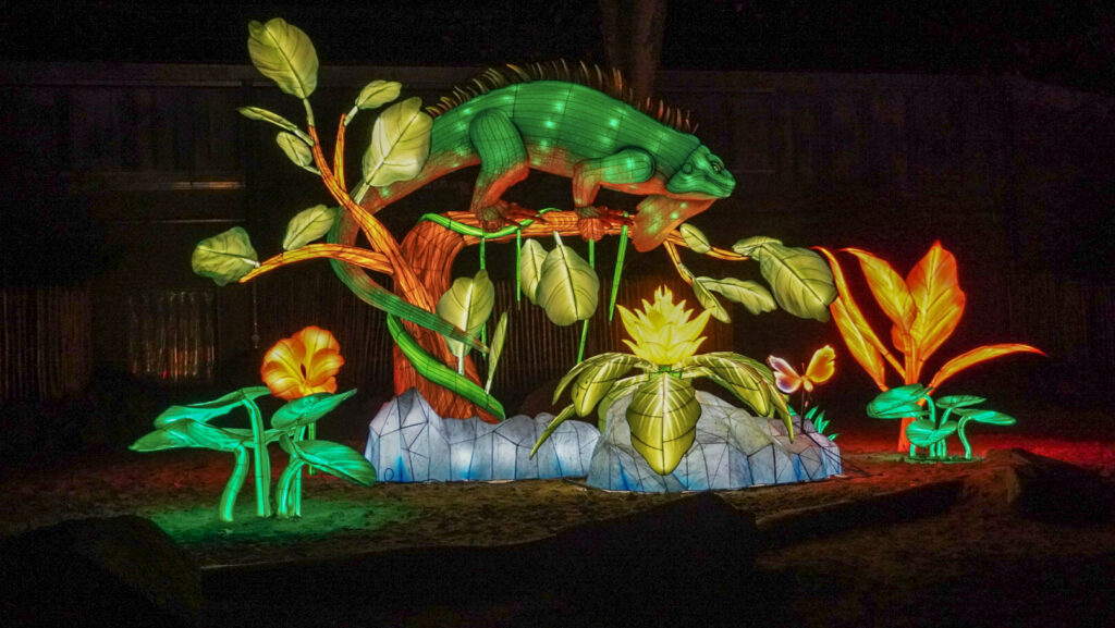 China Lights im K&ouml;lner Zoo