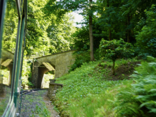 Bootsfahrt und Besuch des Drachenfelsens