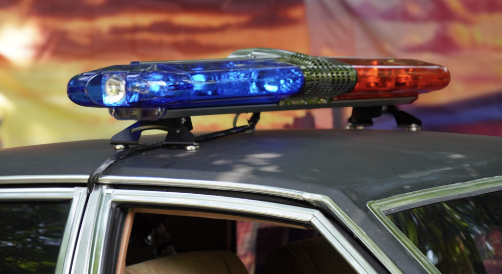 El Mundo Fantasia - Mondo Verde