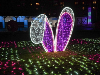 Garden of Lights Garden of Lights