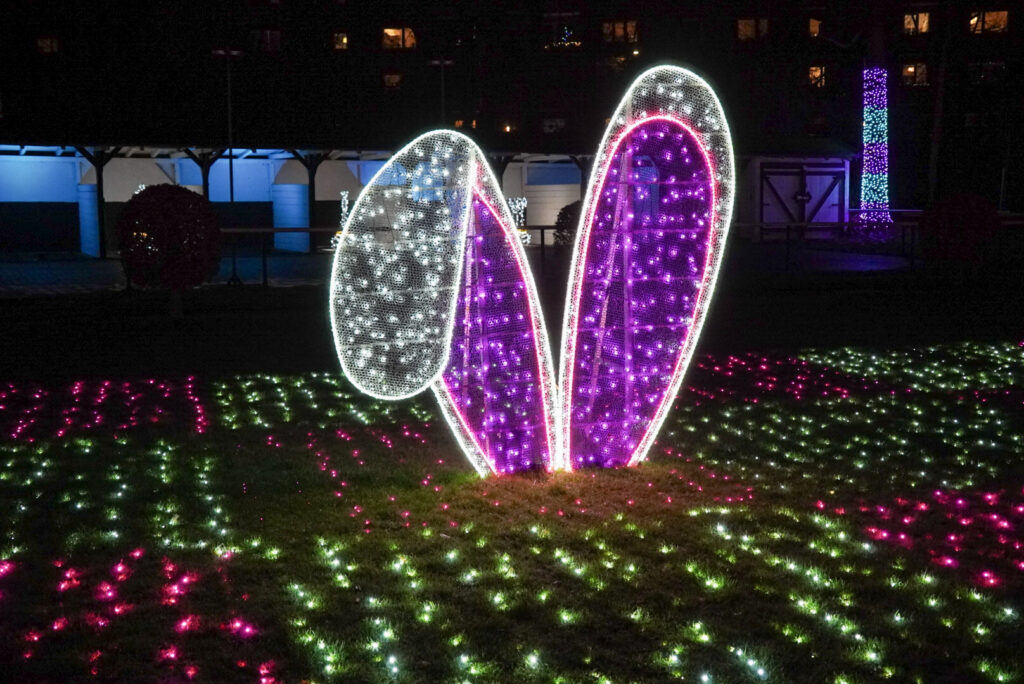 Garden of Lights