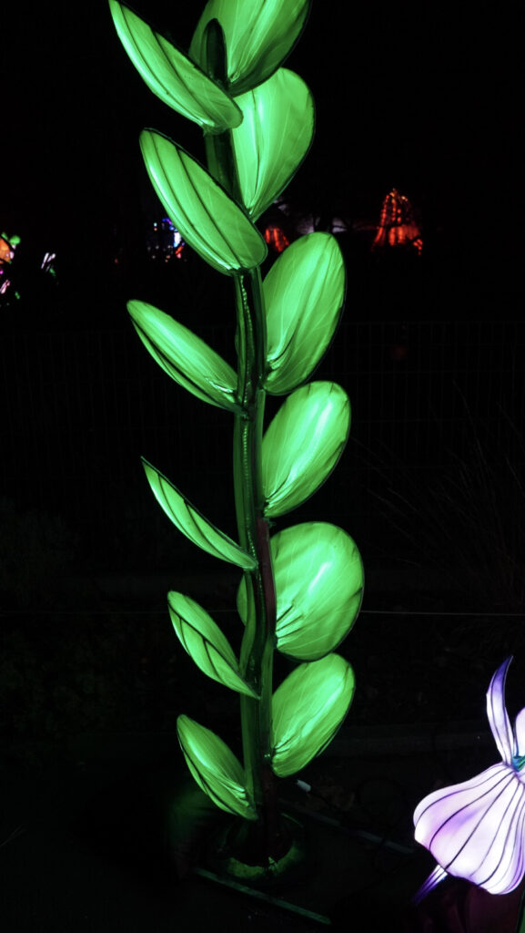 China Lights im K&ouml;lner Zoo