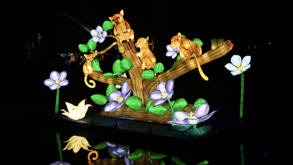 China Lights im K&ouml;lner Zoo