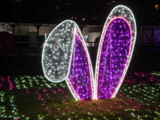 Garden of Lights Garden of Lights