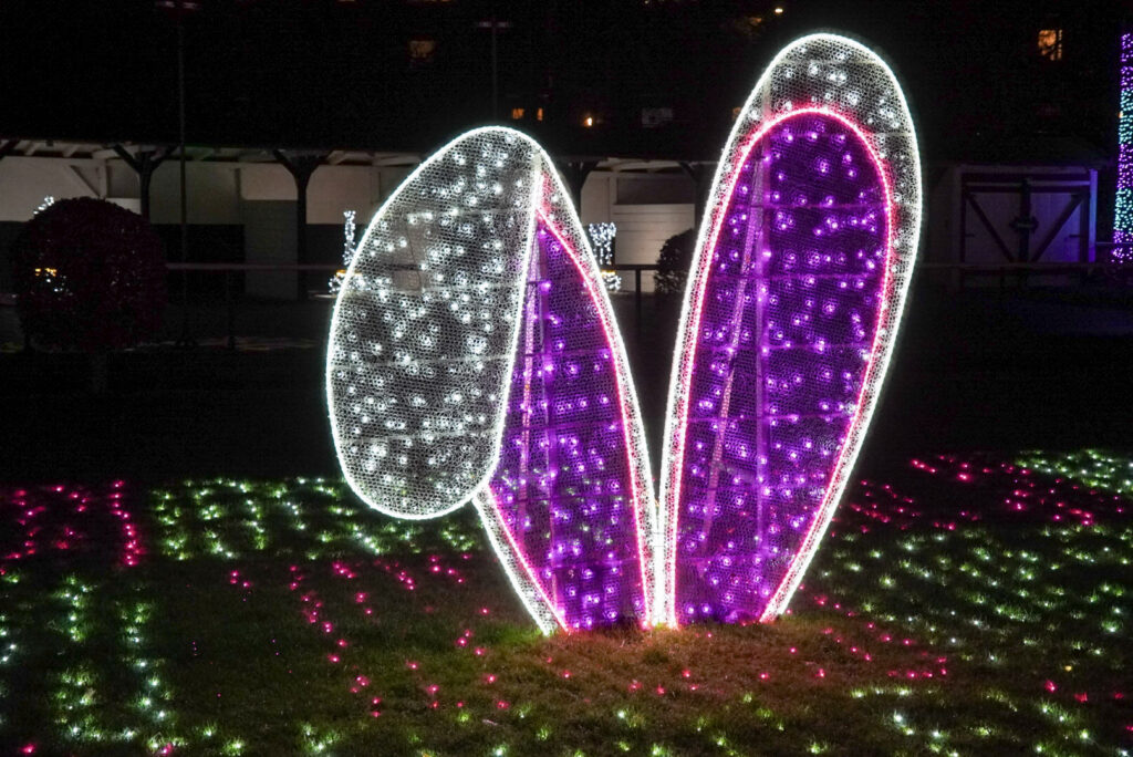 Garden of Lights