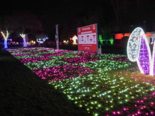 Garden of Lights Garden of Lights