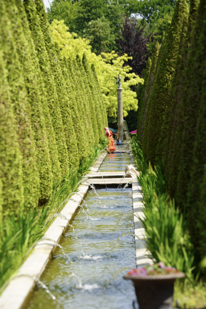 El Mundo Fantasia - Mondo Verde