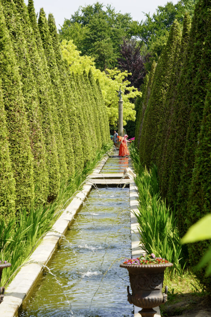El Mundo Fantasia - Mondo Verde