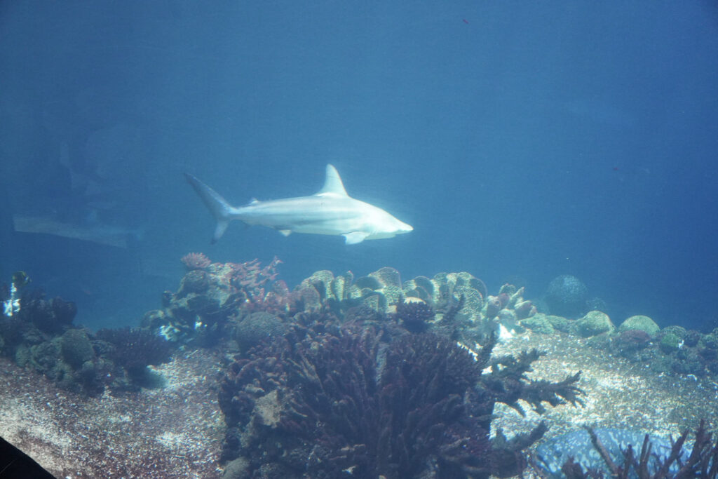 Burgers' Zoo Burgers' Zoo