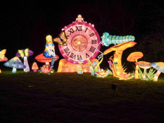 Garden of Lights Garden of Lights
