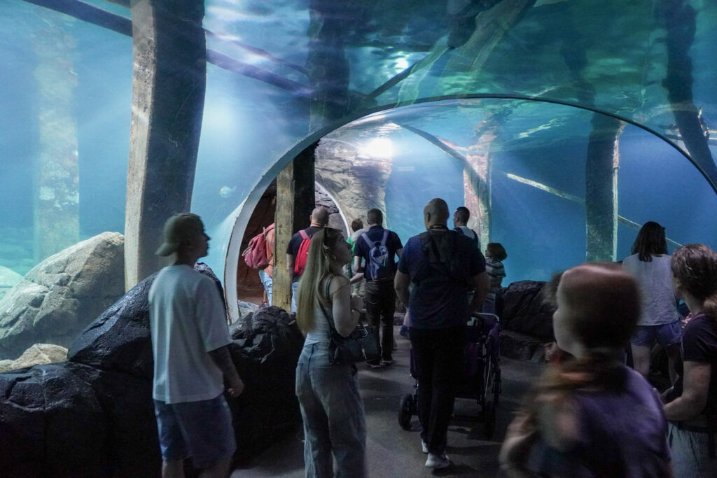 Burgers' Zoo Burgers' Zoo