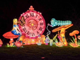 Garden of Lights Garden of Lights