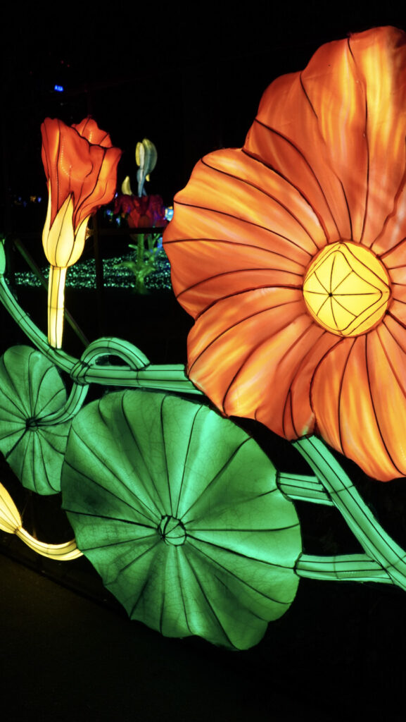 China Lights im K&ouml;lner Zoo