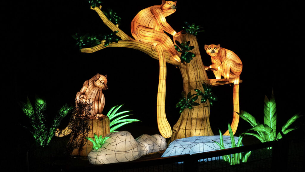 China Lights im K&ouml;lner Zoo