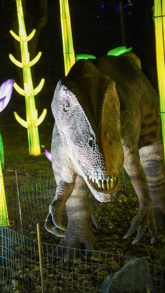 China Lights im K&ouml;lner Zoo