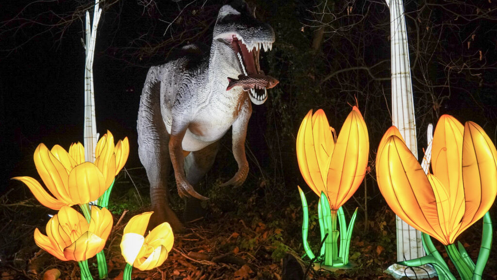 China Lights im K&ouml;lner Zoo