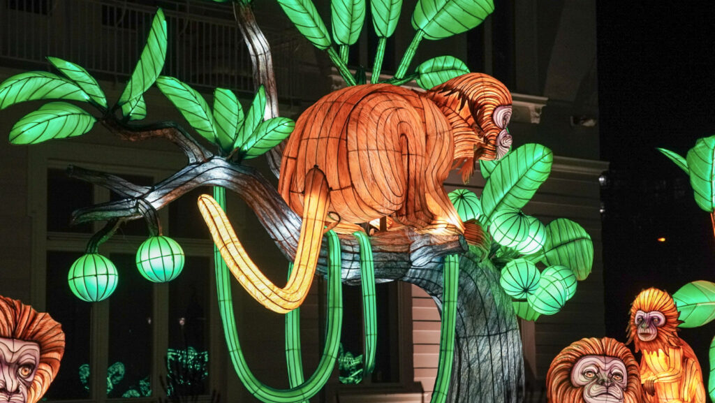 China Lights im K&ouml;lner Zoo