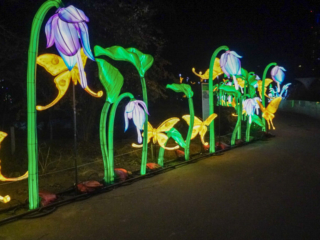 China Lights im K&ouml;lner Zoo