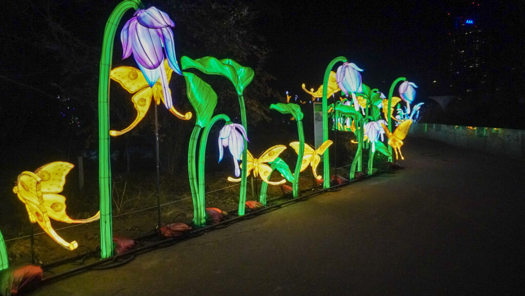 China Lights im K&ouml;lner Zoo