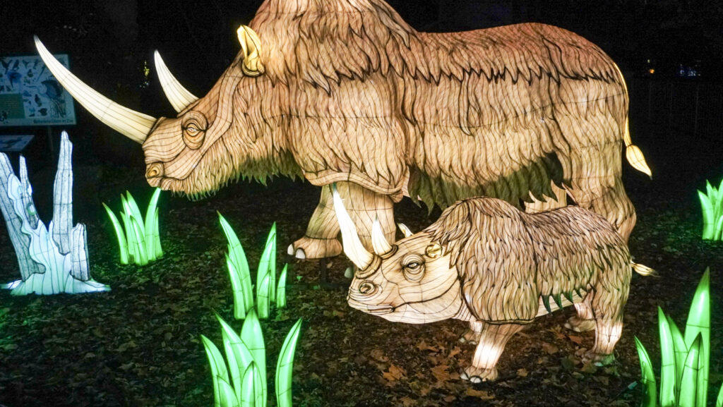 China Lights im K&ouml;lner Zoo