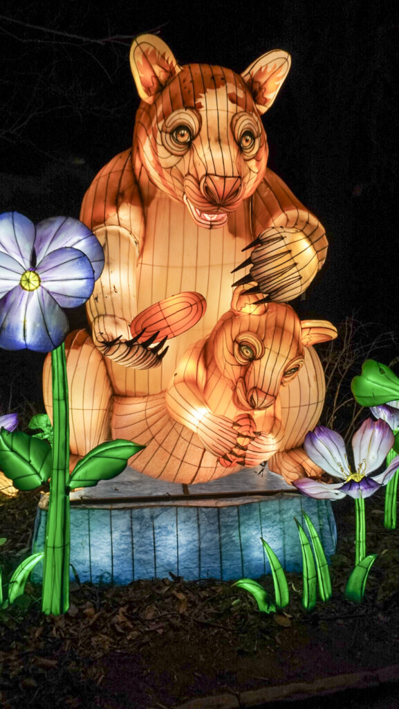 China Lights im K&ouml;lner Zoo