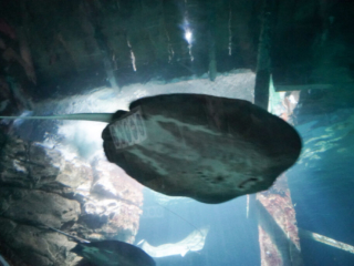 Burgers' Zoo