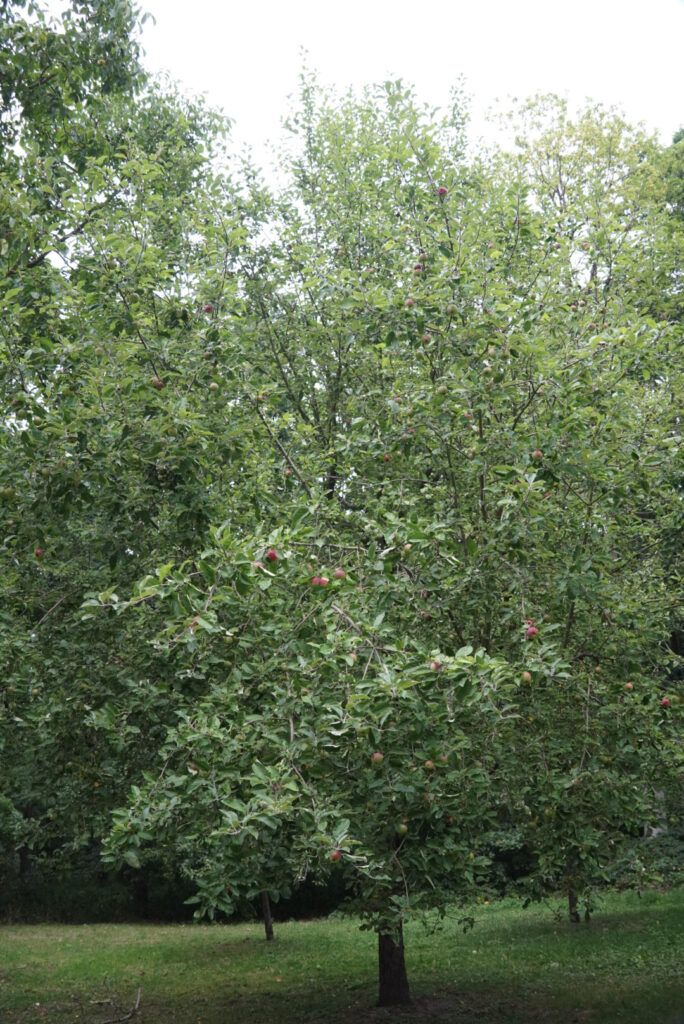 Zeitblende 1975 - Freilichtmuseum Kommern