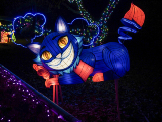 Garden of Lights Garden of Lights